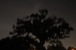 resIMG_20130822_211418_0435.JPG